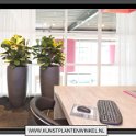 partner extra met lyratha bollen